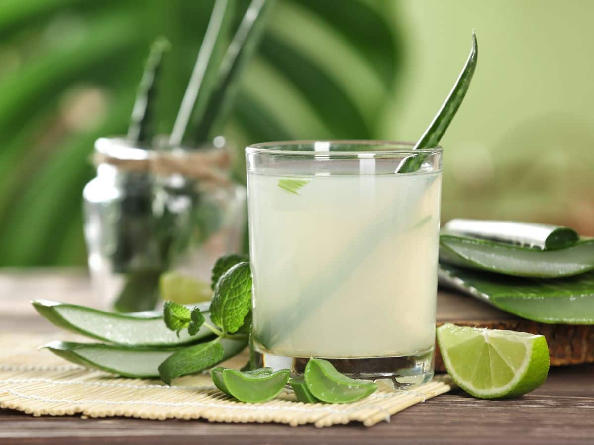 Aloe Vera Shots On Empty Stomach: 7 Health Benefits of Starting Your Day With Raw Organic Weight Loss Drink