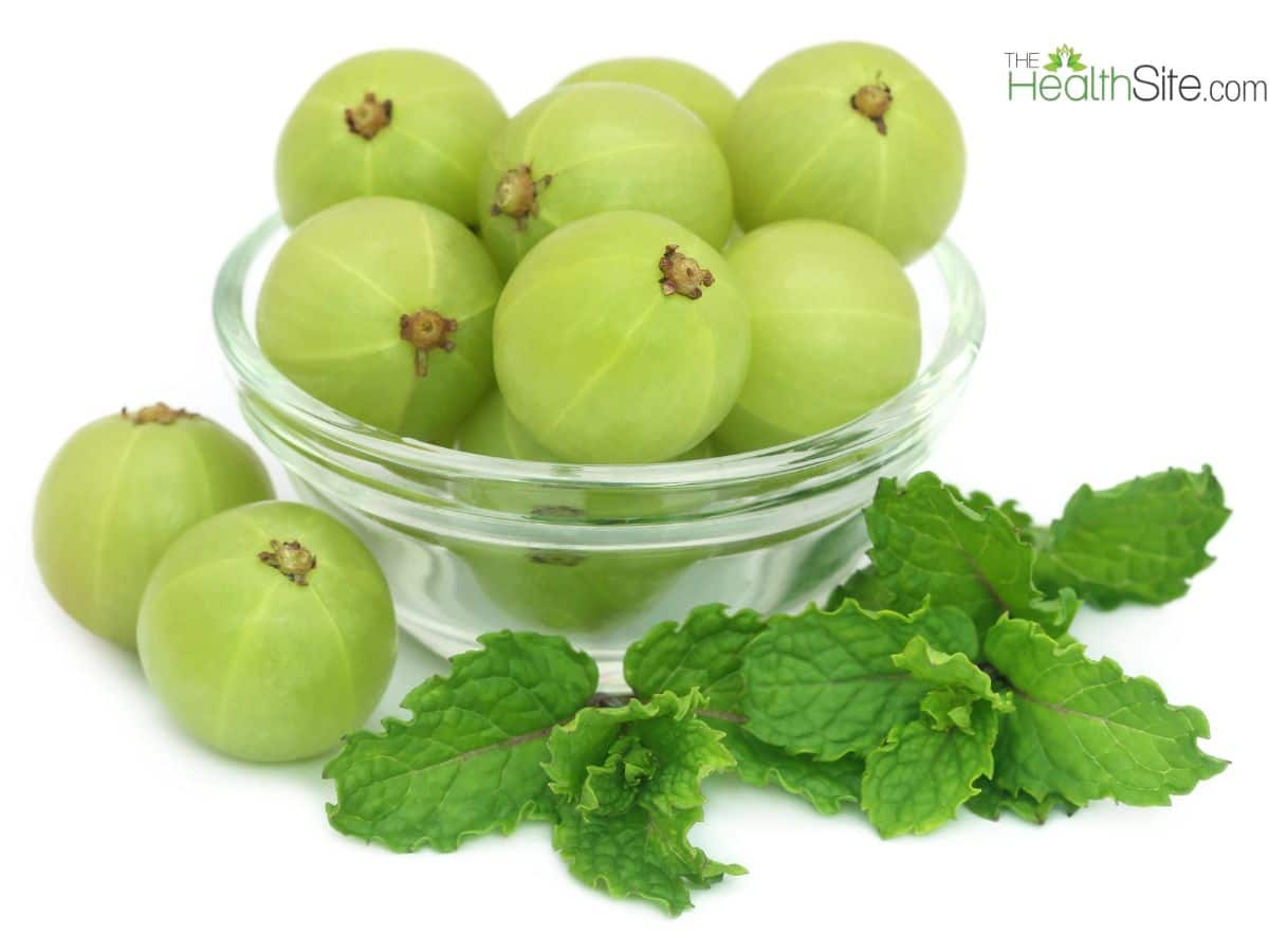 Amla Health Benefits In Summer: 7 Reasons To Add Indian Gooseberry To Your Diet