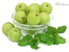Amla Health Benefits In Summer: 7 Reasons To Add Indian Gooseberry To Your Diet Amla Health Benefits In Summer: 7 Reasons To Add Indian Gooseberry To Your Diet