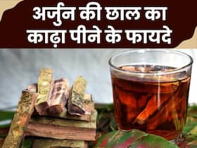 गर्मियों में शुगर लेवल बढ़ने से रोकेगी इस पेड़ की छाल, कभी स्पाइक नहीं होगा ब्लड शुगर