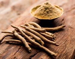 Is Ashwagandha Good For The Immune System?