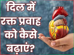 हार्ट में ब्लड फ्लो बढ़ाने के लिए जरूर सेवन करें ये 7 जड़ी-बूटियां, हार्ट अटैक का खतरा हो जाएगा कम