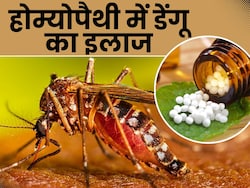 होम्योपैथी में है डेंगू बुखार का इलाज, डॉक्टर से जानिए कितने हद तक है कारगर 
