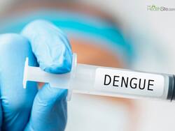 WHO Grants Prequalification to Newly Developed Dengue Vaccine