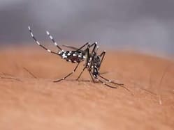 10 Innovative Approaches Towards Dengue Management