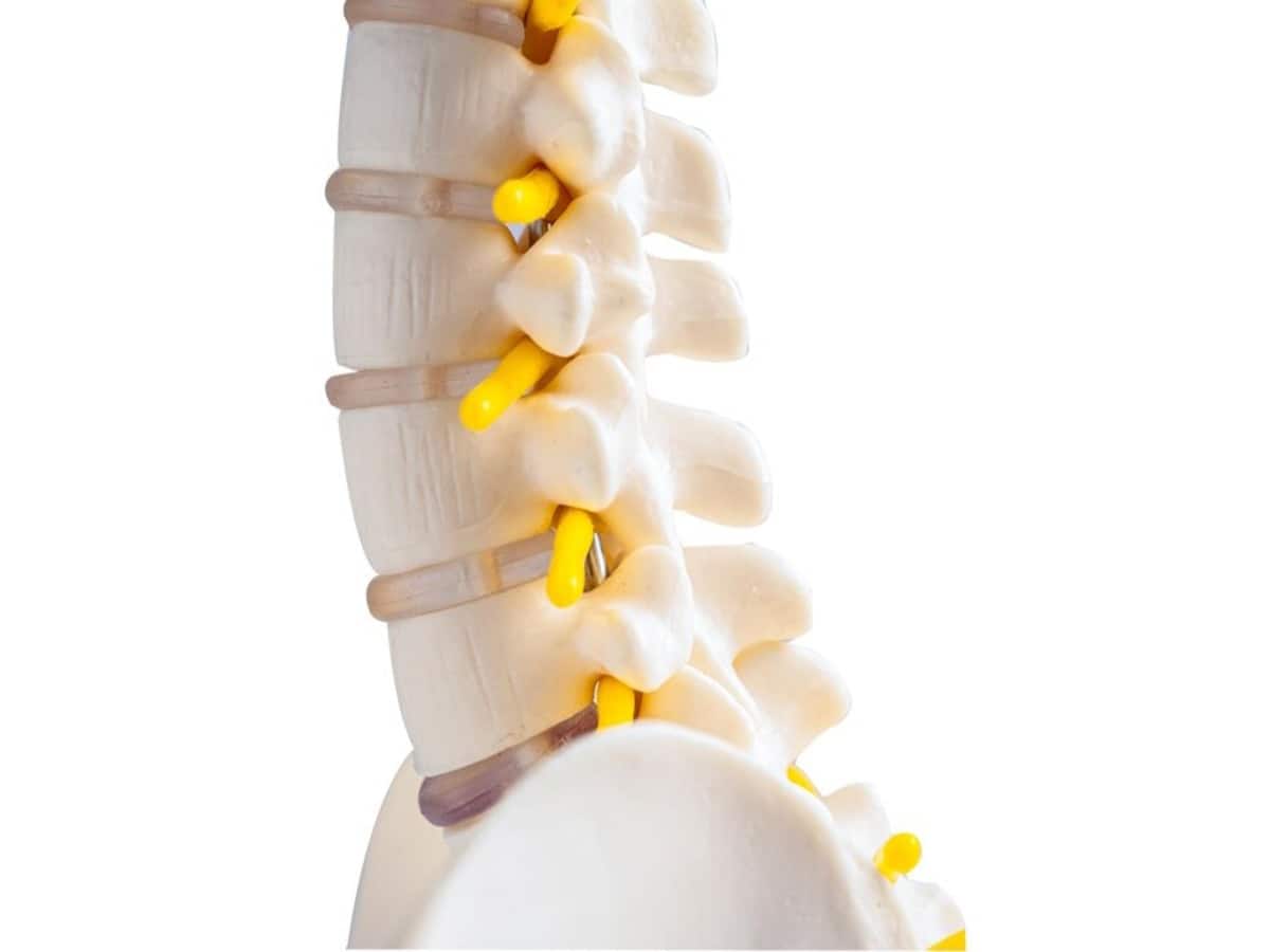 Regenerative medicine, Role Of Regenerative Medicine, Ankylosing Spondylitis, Stem cell regeneration, stem cell therapy, treatment for Ankylosing Spondylitis conventional treatments for Ankylosing Spondylitis, Regenerative Therapies for Ankylosing Spondylitis