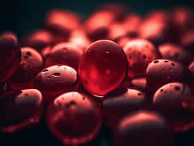 World Thalassemia Day: Know More About This Blood Disorder Whose Only Cure Is A Bone Marrow Transplant
