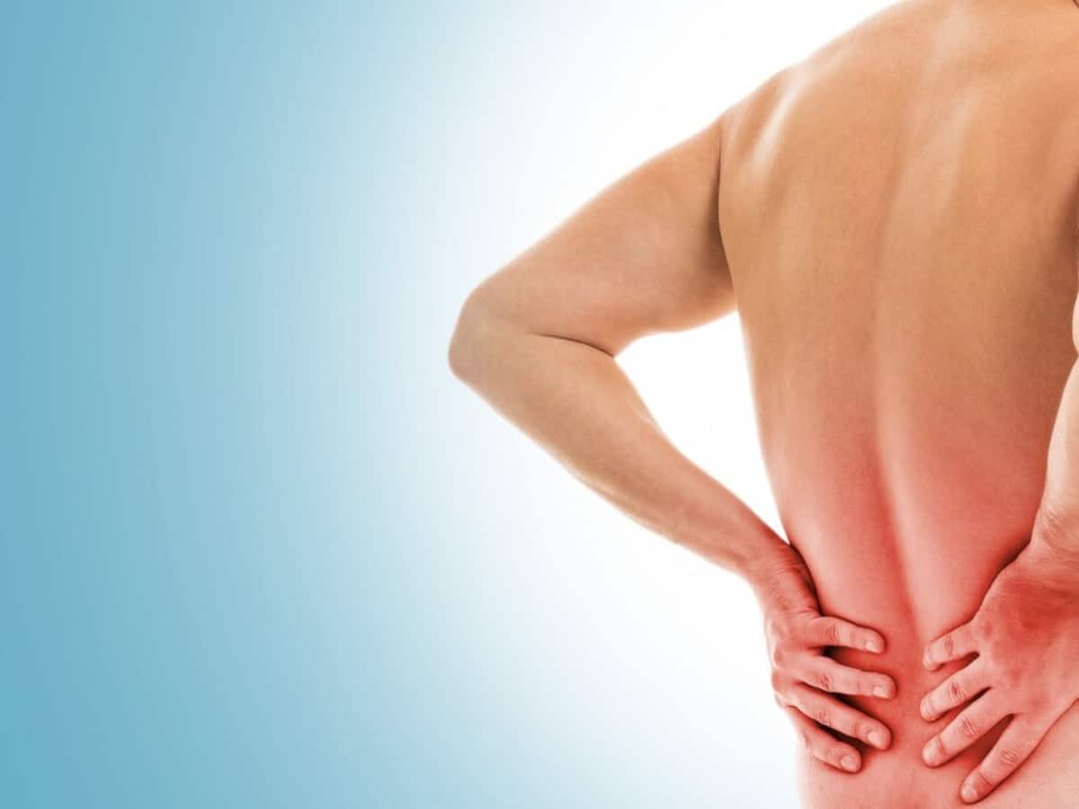 9 Effective Exercises To Fix Your Back Pain In 2024