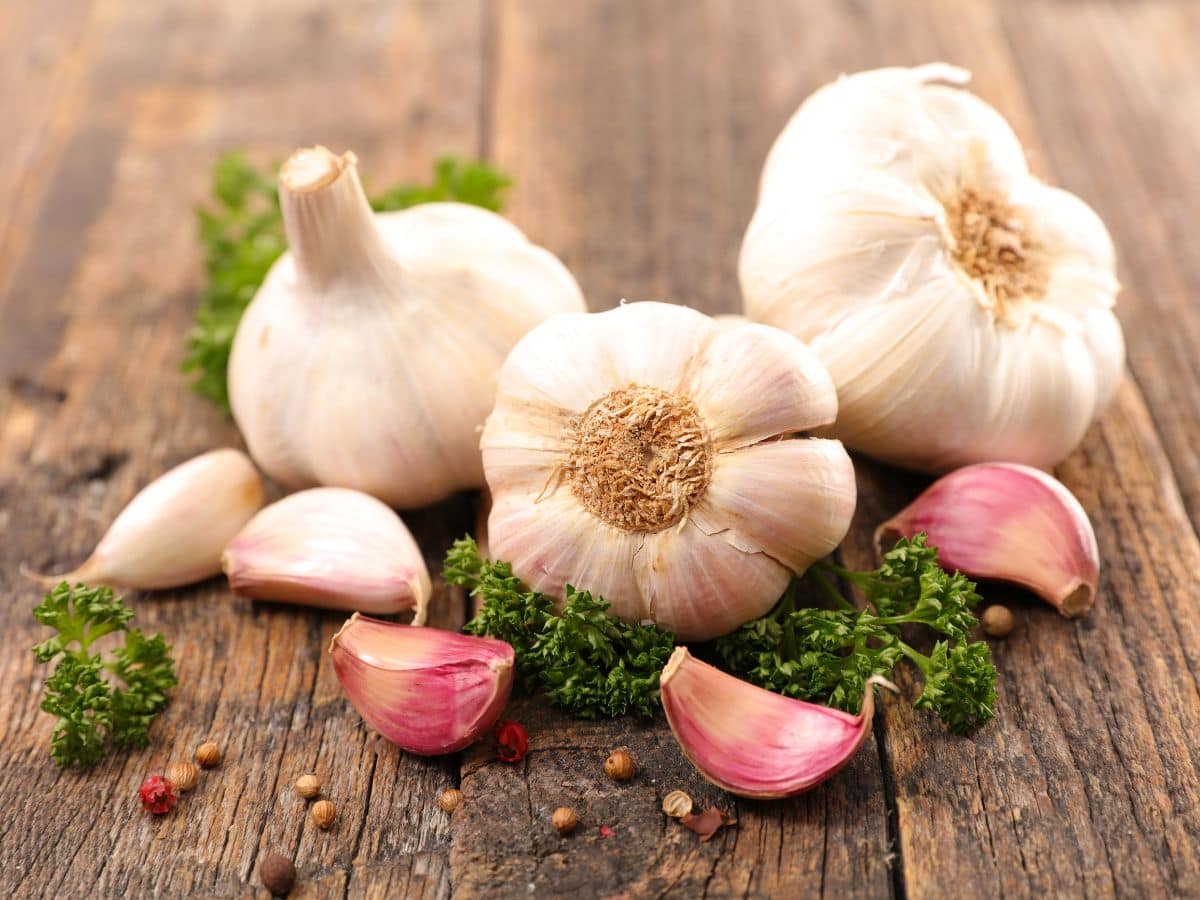 6 Ayurvedic Health Benefits of Eating 1 Garlic Clove Before Sleeping At Night
