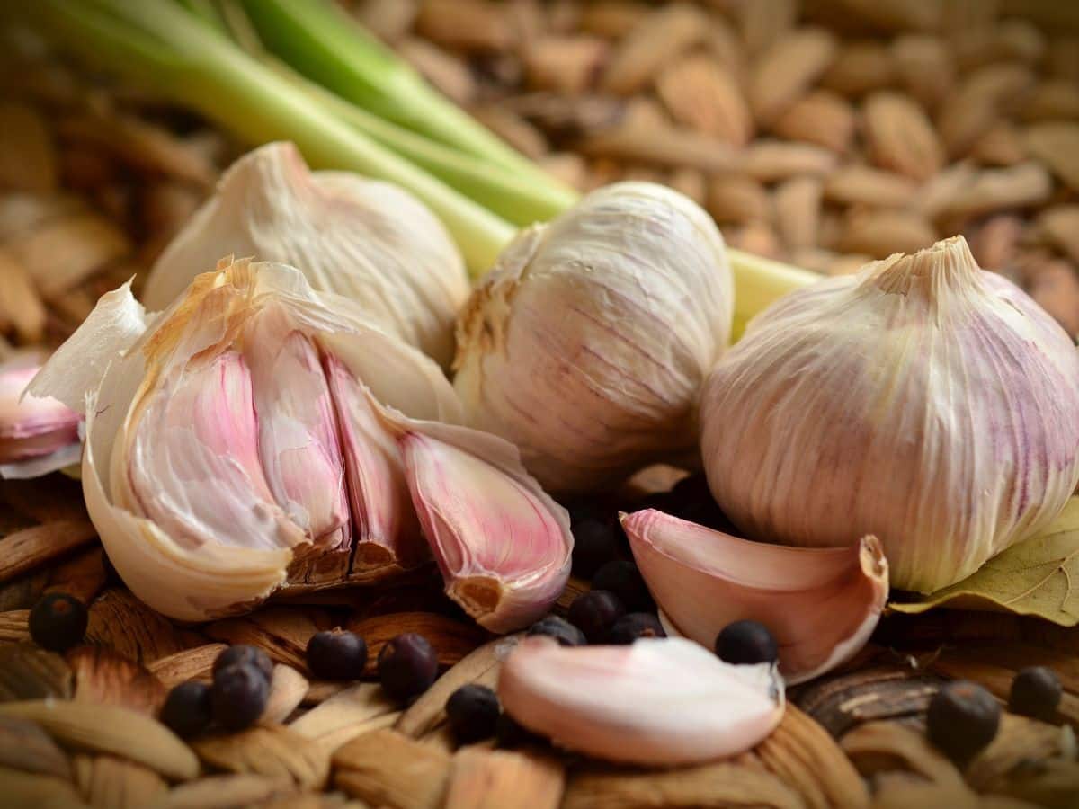 Garlic Health Benefits: What Happens When You Eat Garlic On Empty Stomach Daily?