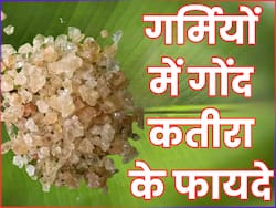 गर्मियों में गोंद कतीरा खाने से सेहत को मिलेंगे ये जबरदस्त फायदे, जानें सेवन का सही तरीका