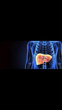 Are Hepatobiliary Disorders Treatable?