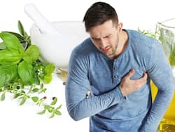 High Cholesterol Control Tips: Top 7 Ayurvedic Medicines To Lower LDL Cholesterol Naturally At Home