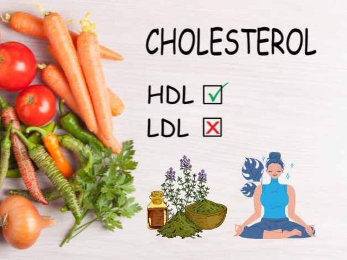 10 Natural Ways To Increase Good Cholesterol Levels And Prevent Summer Stroke