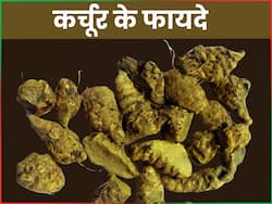 рдЖрдпреБрд░реНрд╡реЗрдж рдХреА рдмреЗрд╣рдж рд╢рдХреНрддрд┐рд╢рд╛рд▓реА рдЬрдбрд╝реА-рдмреВрдЯреА рд╣реИ рдХрд░реНрдЪреВрд░, рдЬрд╛рдиреЗрдВ рдЗрд╕рдХреЗ рдлрд╛рдпрджреЗ рдФрд░ рдЗрд╕реНрддреЗрдорд╛рд▓ рдХрд░рдиреЗ рдХрд╛ рддрд░реАрдХрд╛