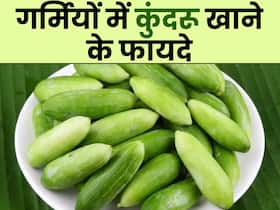 गर्मियों में कुंदरू खाने से दूर होंगी ये 5 समस्याएं, एक्सपर्ट से जानें इसके फायदे गर्मियों में कुंदरू खाने से दूर होंगी ये 5 समस्याएं, एक्सपर्ट से जानें इसके फायदे