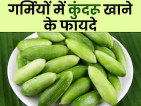 गर्मियों में कुंदरू खाने से दूर होंगी ये 5 समस्याएं, एक्सपर्ट से जानें इसके फायदे