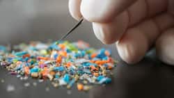 Microplastics And Male Infertility: Are Microplastics The Reason Behind Severe Decline In Male Fertility?