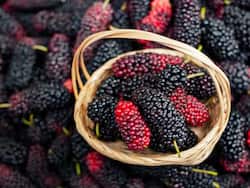 चेहरे पर आते बुढ़ापे को मात देता है ये गर्मी में मिलने वाला ये रसीला फल, ब्लड प्रेशर को भी करता है कम