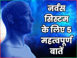 नर्वस सिस्टम को हेल्दी रखना क्यों जरूरी है, जानिए तंत्रिका तंत्र को मजबूत करने के 5 उपाय