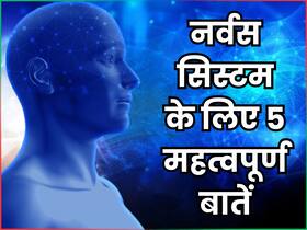 नर्वस सिस्टम को हेल्दी रखना क्यों जरूरी है, जानिए तंत्रिका तंत्र को मजबूत करने के 5 उपाय