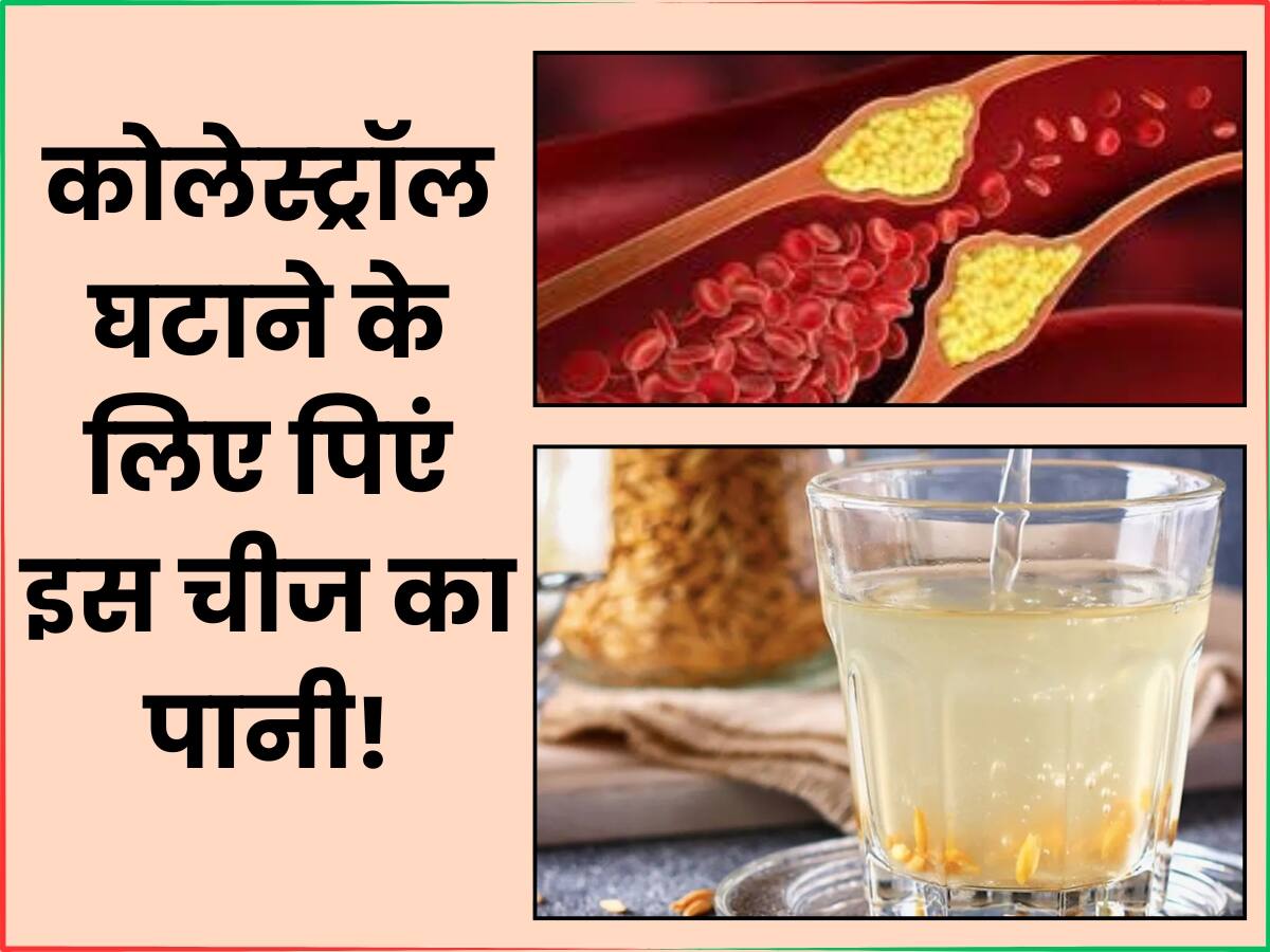 Cholesterol Kam Kaise Kare नसों में जमा कोलेस्ट्रॉल को शरीर से बाहर