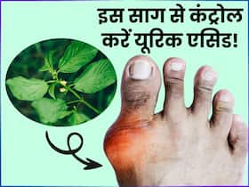 इस हरे साग को खाने से पेशाब से बाहर निकल जाएगा जोड़ों में चिपका यूरिक एसिड, इन 3 तरीकों से करें सेवन इस हरे साग को खाने से पेशाब से बाहर निकल जाएगा जोड़ों में चिपका यूरिक एसिड, इन 3 तरीकों से करें सेवन