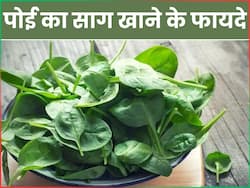 गर्मियों में जरूर खाएं पोई का साग, सेहत को मिलेंगे ये 5 जबरदस्त फायदे