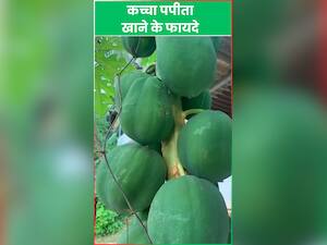 गर्मी में कच्चा पपीता खाने के 6 फायदे