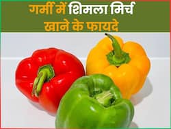 गर्मी में रोजाना खाएं शिमला मिर्च, कब्ज के साथ-साथ इन 5 बीमारियों की होगी छुट्टी!
