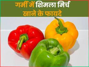 गर्मी में रोजाना खाएं शिमला मिर्च, कब्ज के साथ-साथ इन 5 बीमारियों की होगी छुट्टी!