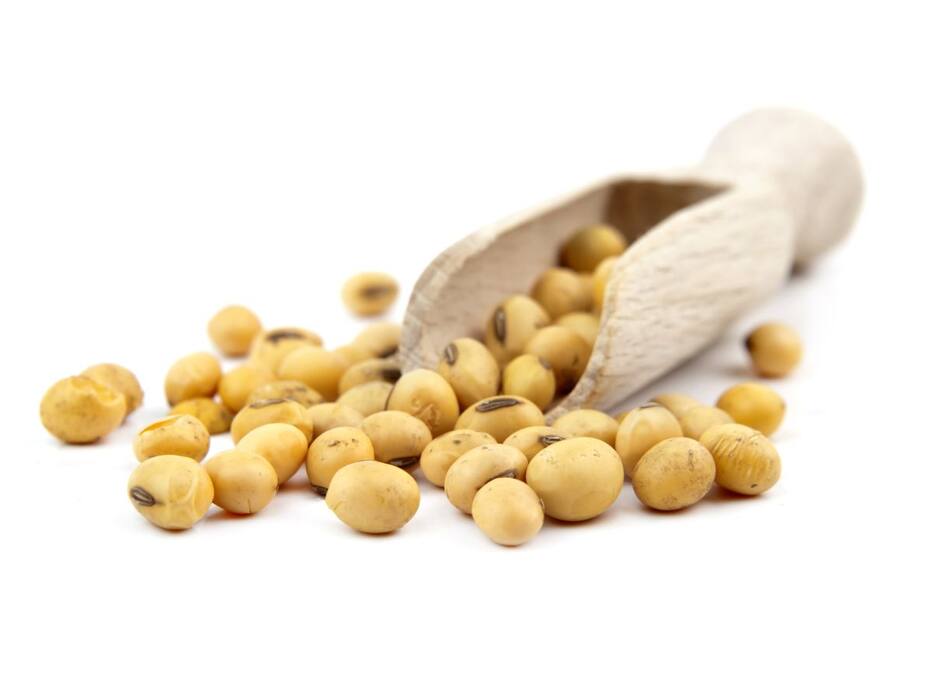 Top 5 Vegetarian-Friendly Omega-3 Sources For Strong Heart Health