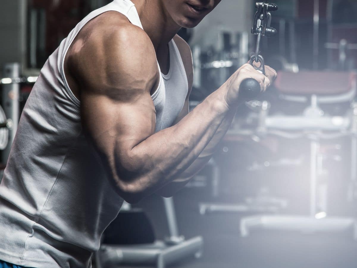 Arm Workout: Top Strength Exercises for Biceps and Triceps