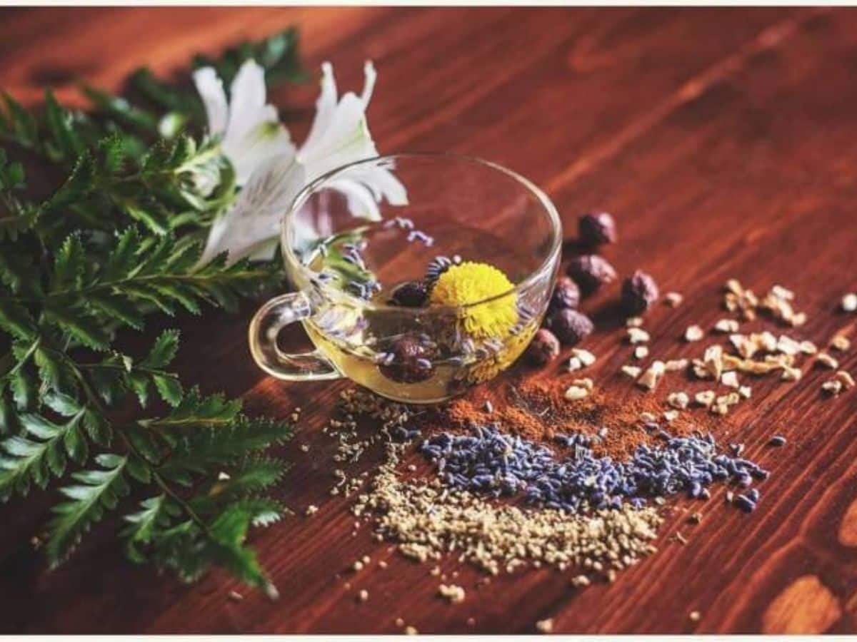 Diabetes Symptoms Management Tips: Top 7 Ayurvedic Drinks To Boosts Insulin Production Naturally