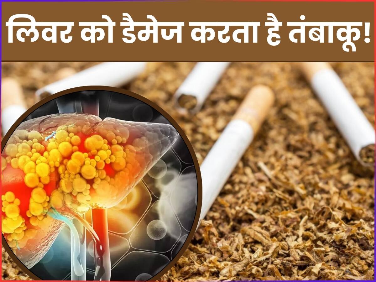 tobacco in hindi Tobacco News in Hindi, Latest Tobacco Updates in Hindi