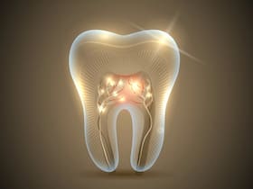 सितंबर से दुनिया की पहली Tooth-Regrowing Drug का होगा ह्यूमन ट्रायल, जानिए क्या मिलेगा फायदा