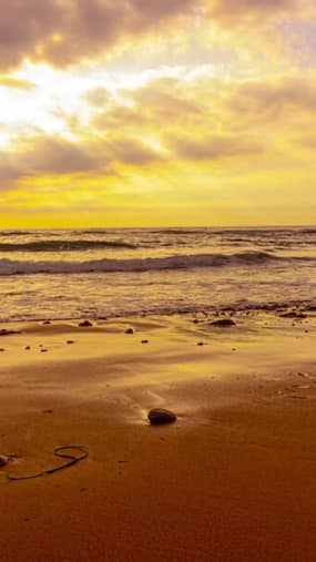9 Modern Baby Names Inspired by Uttara Kannada's Beauty, And Their Meanings