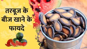 Watermelon seeds benefits: तरबूज़ के बीज़ खाने से होगा आपको ये फायदा Watermelon seeds benefits: तरबूज़ के बीज़ खाने से होगा आपको ये फायदा