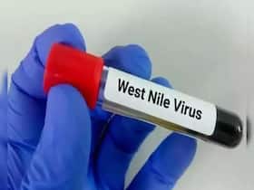 केरल में तेजी से फैल रहा खतरनाक West Nile Fever, जानें इसके लक्षण और बचाव के उपाय