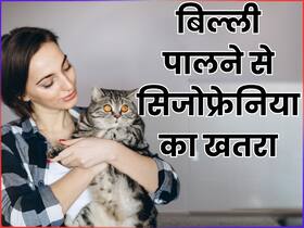 आपकी पालतू बिल्ली बढ़ा सकती है सिजोफ्रेनिया का रिस्क, जानें क्यों किया वैज्ञानिकों ने ऐसा दावा