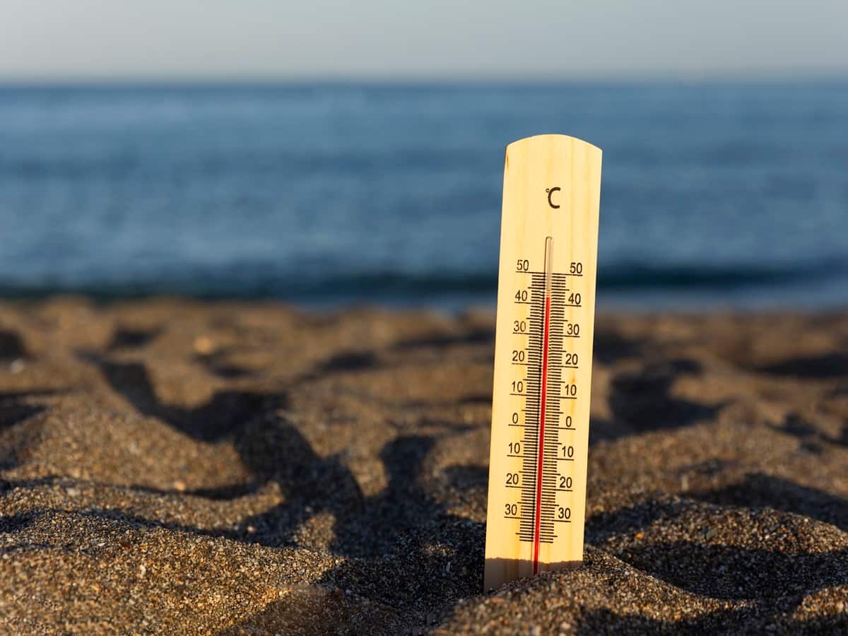 Did You Know Heatwaves Can Have Positive Impacts On Your Body?