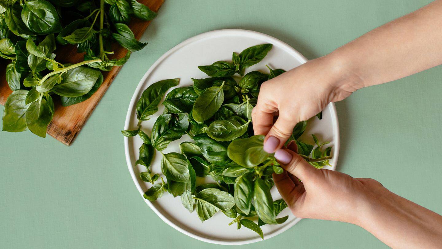 Summer-Friendly Foods: 5 Herbs To Keep Your Body Cool