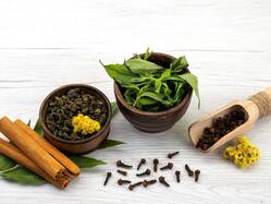 नेचुरोपैथी ट्रीटमेंट से दूर हो सकती है डायबिटीज, फैट टू फिट हो जाएंगे आप