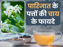 हड्डियों में दर्द को कम करने के लिए पीएं इस पत्ते की चाय, इन समस्याओं से भी मिलेगा आराम