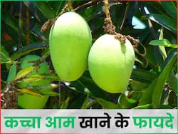 कच्चे आम के ये 6 फायदे नहीं जानते होंगे आप, हार्ट और लिवर के लिए है अमृत