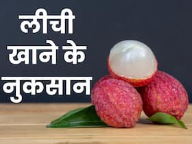 लीची खाने से पहले जान लें इसके नुकसान भी, हो सकती हैं ये हेल्थ प्रॉब्लम्स लीची खाने से पहले जान लें इसके नुकसान भी, हो सकती हैं ये हेल्थ प्रॉब्लम्स