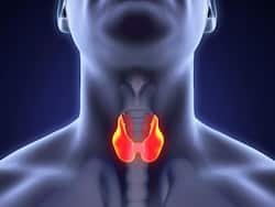 थायराइड की समस्या को ठीक करने में मदद करते हैं आदतों में ये 4 बदलाव | Thyroid Ka Upchar
