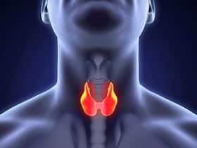 थायराइड की समस्या को ठीक करने में मदद करते हैं आदतों में ये 4 बदलाव | Thyroid Ka Upchar थायराइड की समस्या को ठीक करने में मदद करते हैं आदतों में ये 4 बदलाव | Thyroid Ka Upchar