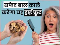 आंवला मेथी नहीं इस ड्राईफ्रूट से बाल होंगे काले, इस तरह करें इस्तेमाल सफेद बालों की समस्या होगी दूर
