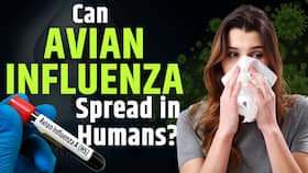 Bird Flu Is Infecting Cats (and the Occasional Dog), Here's What to Know? Bird Flu Is Infecting Cats (and the Occasional Dog), Here's What to Know?